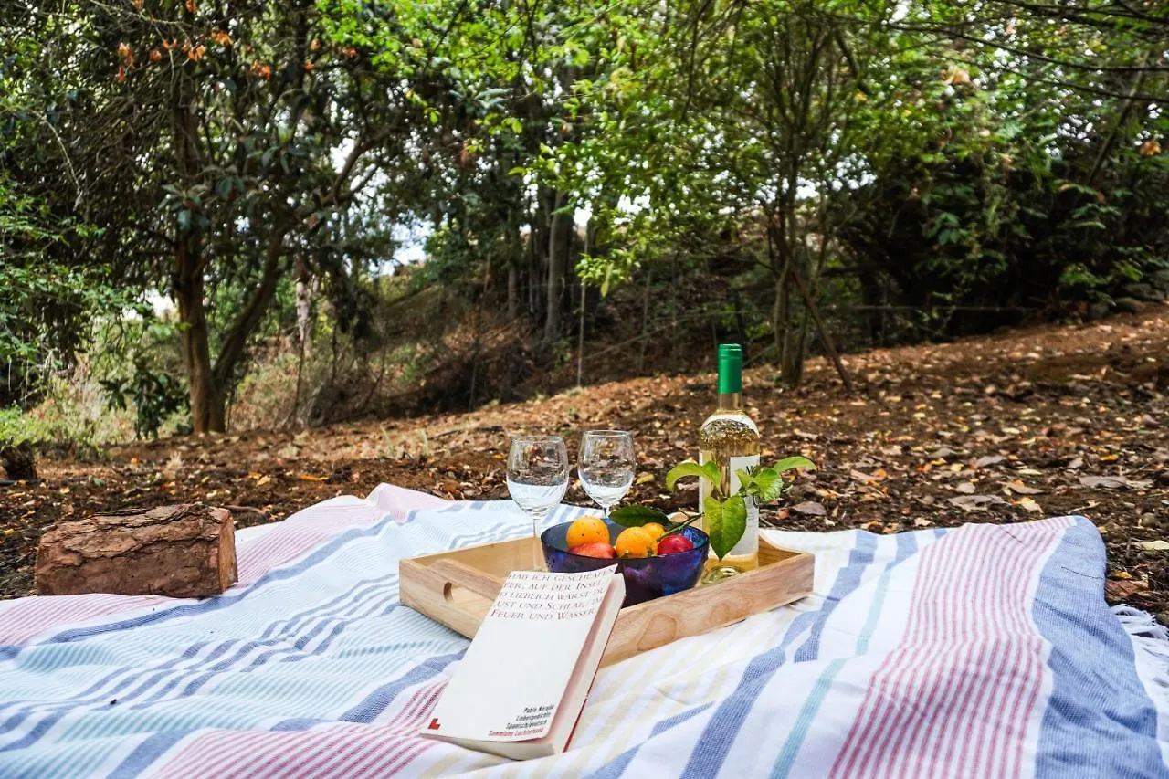 Vakantiehuis Eco House In Unique Environment Villa La Orotava