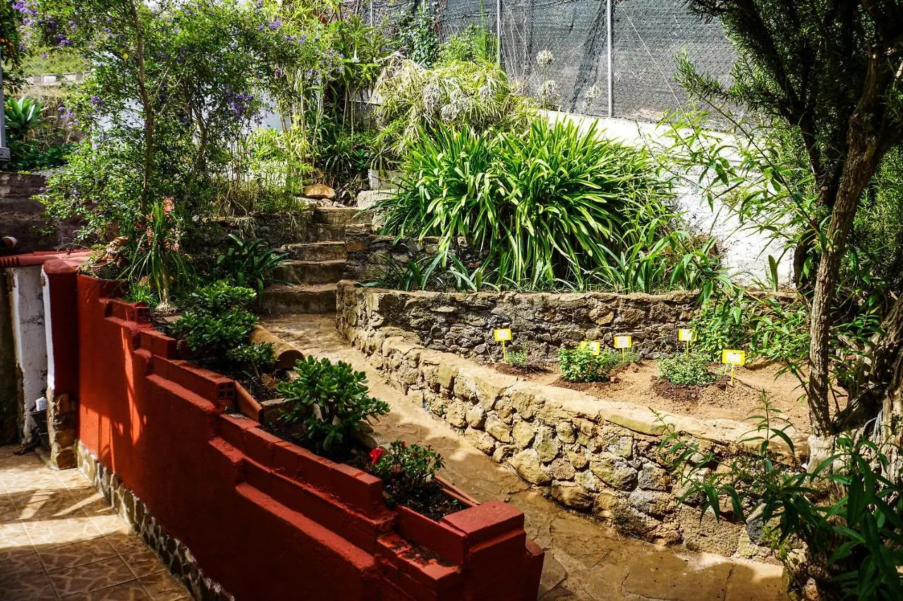 Eco House In Unique Environment Villa La Orotava Vakantiehuis