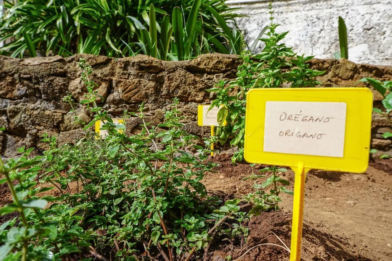 Eco House In Unique Environment Villa La Orotava Vakantiehuis